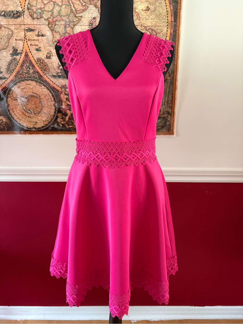 Ted Baker Fuchsia Lace-Trim V-Neck Midi Dress